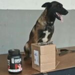 POLÍCIA CIVIL, EM AÇÃO INTEGRADA, INTERCEPTA ENTORPECENTES EM TRANSPORTADORA